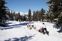 Meribel - Met de sneeuwhonden mee